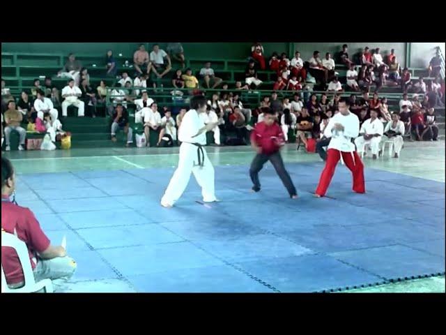 Sikaran vs Karate, Muay Thai, and TKD