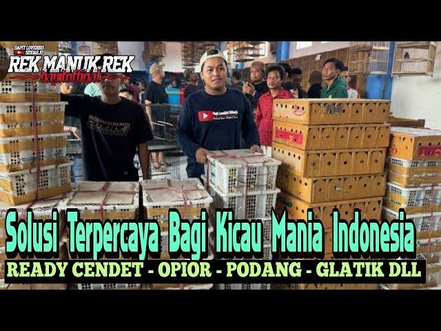 TERNYATA DISINI PUSAT BURUNG PALING LENGKAP - READY CENDET - OPIOR - PODANG - GLATIK DLL