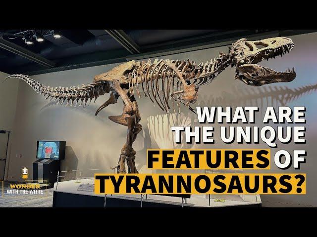 What Makes a Tyrannosaur, a Tyrannosaur? | Wonder with the Witte