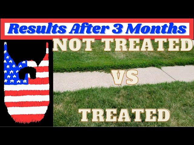 Tenacity and SpeedZone: Results after 3 months