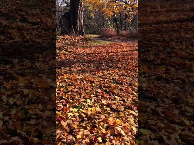 November in Lake Geneva Wi