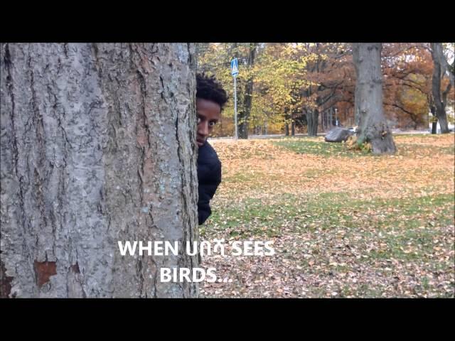 when habesha sees birds Vs frenj