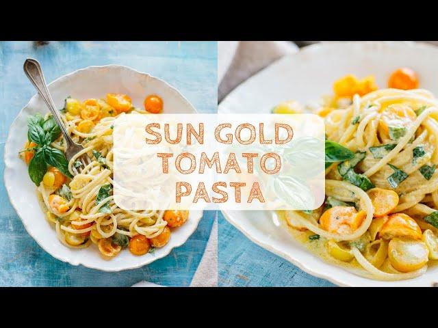 Sun Gold Tomato Pasta