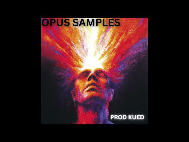 [FREE] LOOP KIT/SAMPLE PACK - "OPUS" (Southside ,Metro Boomin, Dez Wright, OZ and Kingsway etc)