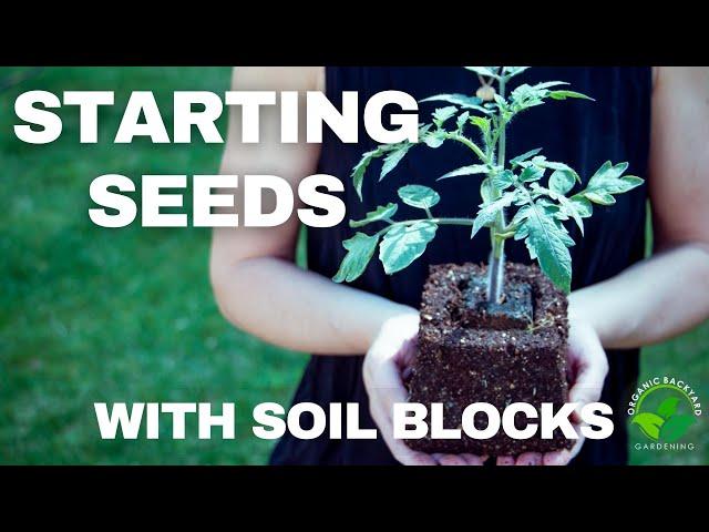 How to Use Soil Blocks for Seed Starting - Gardening Tips and Tricks