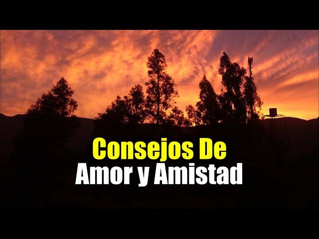 Los Mejores Consejos De Amor y Amistad ¦ Gratitud, Frases, Reflexiones, Versos, Reflexión