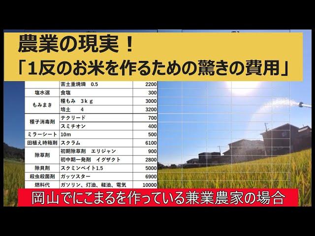 【田んぼ1反にかかる経費】1年間の収支をだして、適正価格について考えました。