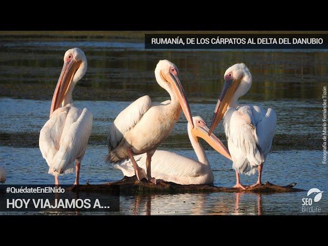 Hoy viajamos a... Rumanía, de los Cárpatos al Delta del Danubio