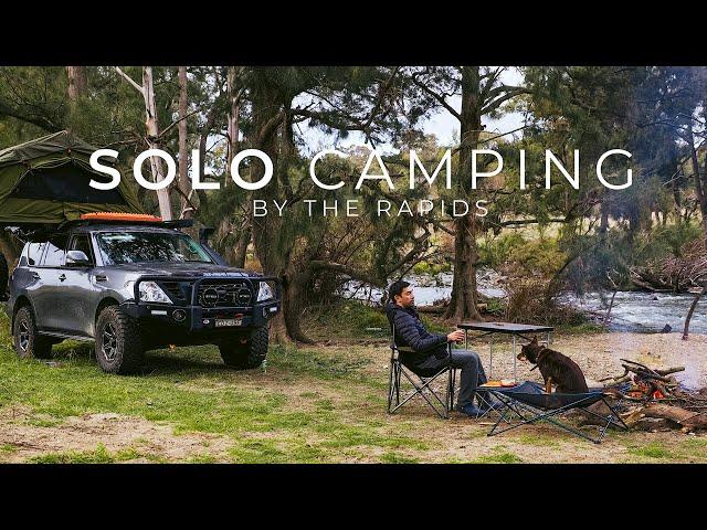 SOLO Car Camping by the River  | Relaxing Escapes with my Dog | Campfire Cooking | Nature ASMR