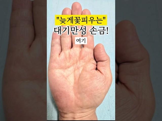 나이가들수록 빛을발하는손금! #손금 #손금보기 #손금보는법#재물운