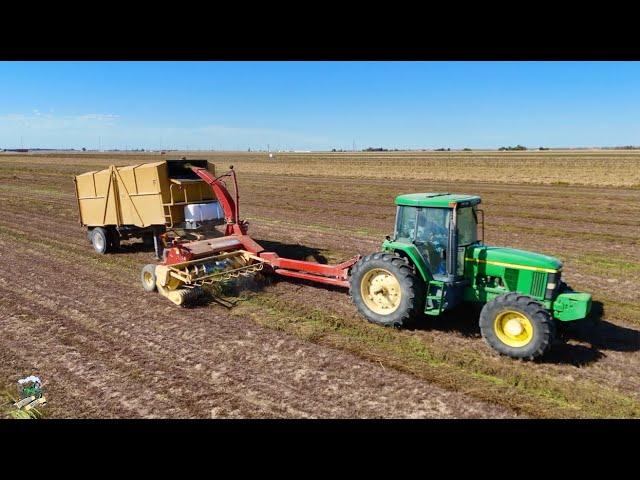 Idaho Mint Harvest | Chopping & Processing Mint Oil