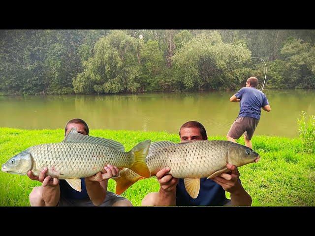 Pocepao sam šarane na kokos - 12 sati - 9 riba napolju - 40+kg | THE DESTROYER OF SERBIAN WILD CARP