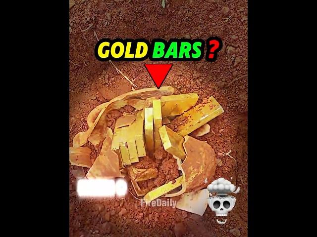 Amazing Treasure Finds 