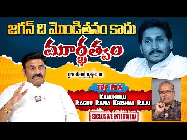 Exclusive Interview With TDP MLA Kanumuru Raghu Rama Krishna Raju | VSN Murthy | greatandhra.com