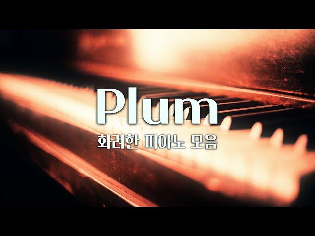 【𝐏𝐥𝐚𝐲𝐥𝐢𝐬𝐭】 화려한 피아노가 귀를 싸악 감싸는 Plum 음악 모음 (중간광고 X)