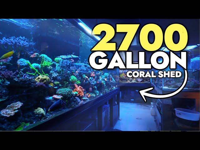 Touring The BEST Hobbyist NPS Aquarium + Stunning Corals And Fish