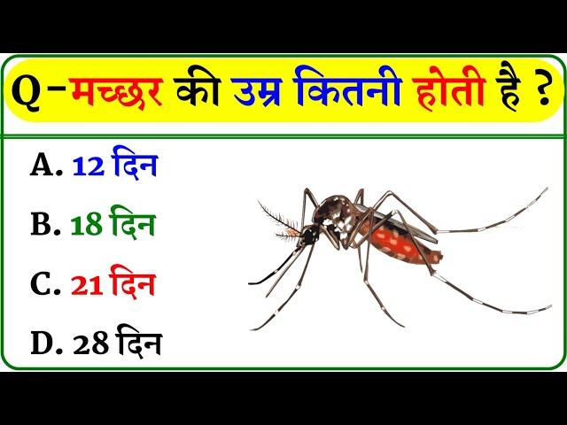 GK Question || GK In Hindi || GK Question and Answer || GK Quiz ||