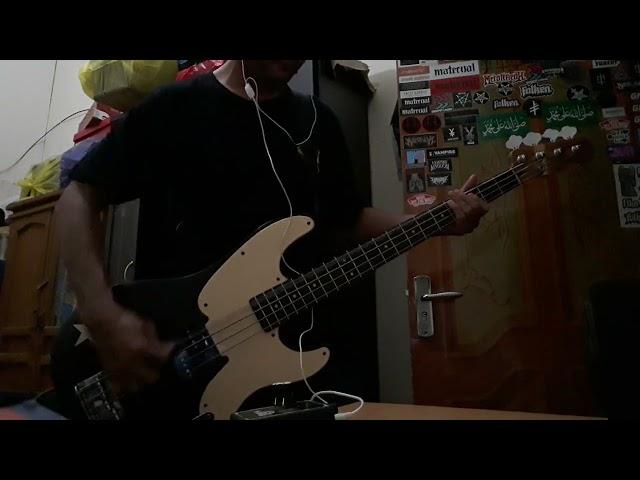 @seringaiofficial -Puritan Bass Cover