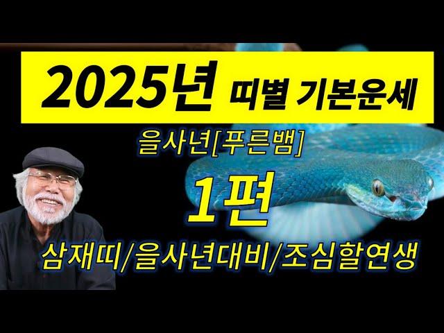 2025[을사년] 기본운세특집 1부 #을사년 #2025년운세 #푸른뱀 #이달의운세 #신년운세 #무료운세 #왕파tv #삼재 #삼재띠 #삼재풀이 #토끼띠 #양띠 #돼지띠