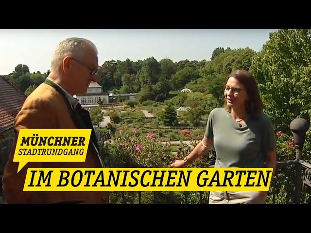 Im Botanischen Garten