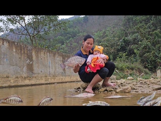 One lucky day,single mother caught a giant stream fish in the deep forest