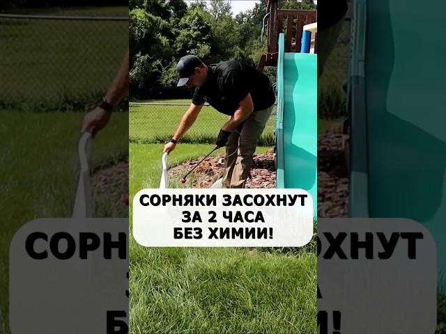 Сорняки засохнут за 2 часа без химии и без прополки. Лучшее действенное средство #огород #сад #дача