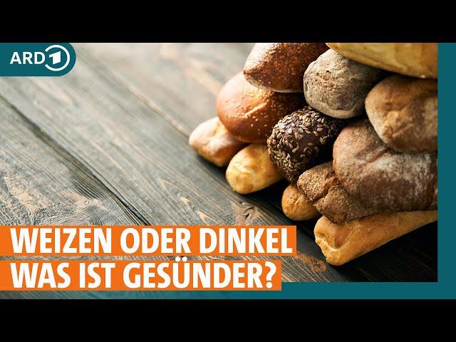 Weizen oder Dinkel: Welches Getreide ist am gesündesten? I ARD Gesund