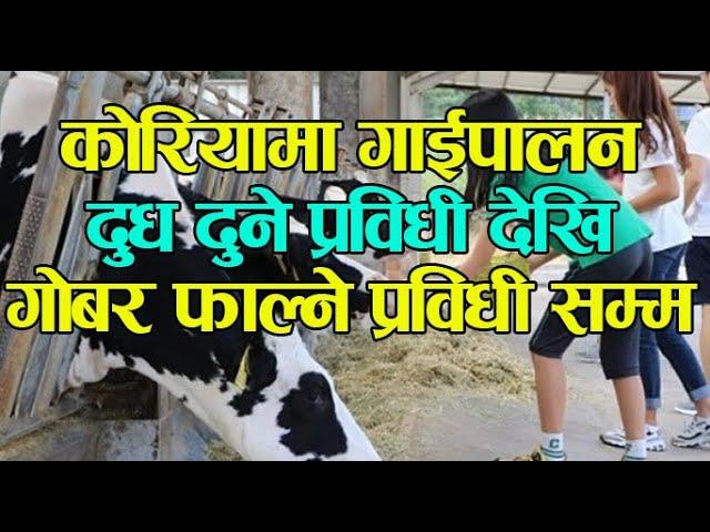 Eps woreker Cow Farming