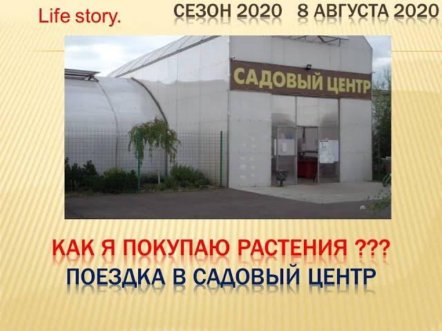 Как я покупаю растения???? Поездка в садовый центр Флос!