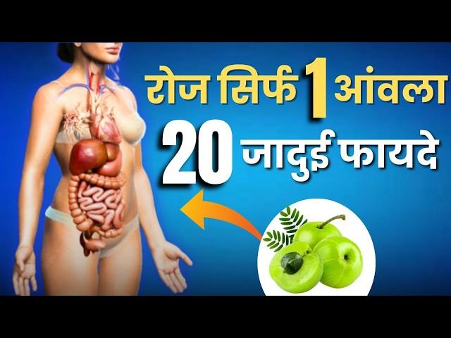 रोज खाएं 1 आंवला जड़ से खत्म होंगे 20 रोग | आयुर्वेद में अमृत है आंवला, Amla Benefits | Yebook