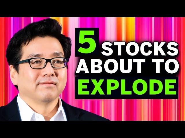 Tom Lee’s Best 5 Stocks to BUY NOW in August 2024 (High Growth Stocks) 