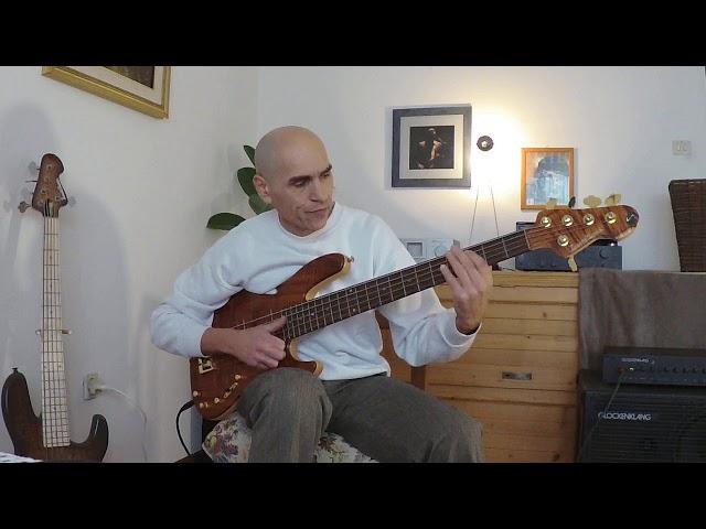 WOOD&TRONICS Tone Package n. 4: "Musicman" Style