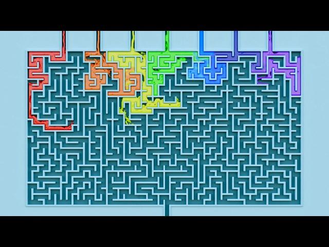 Which Color of the Rainbow Will Solve the Maze First? 