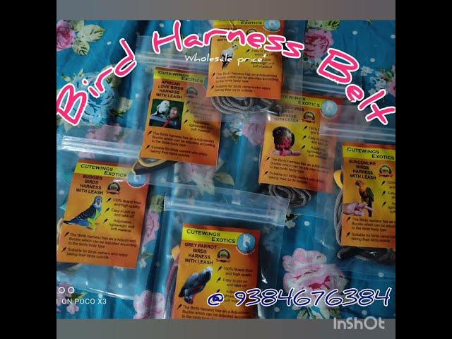 Bird Harness || Safety Belt for Birds || All size Available || 9384676384 || Cutewings Exotics