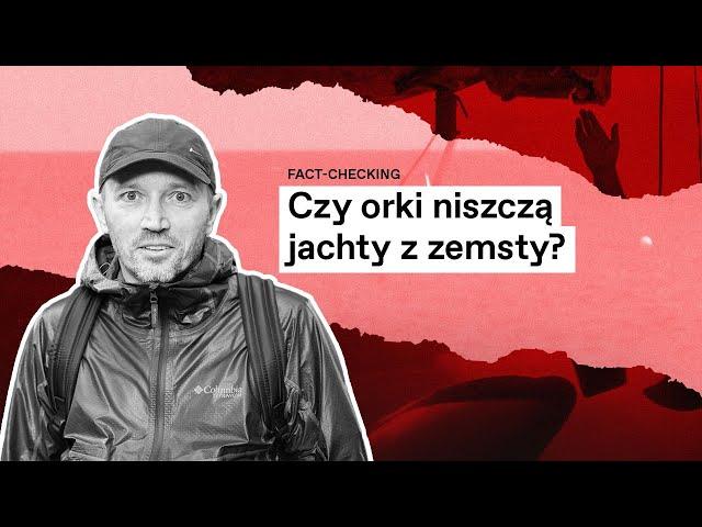 Dlaczego orki atakują jachty?