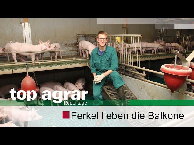 Ferkelbalkone: Die Schweine lieben sie +++ top agrar-Praxisbericht +++