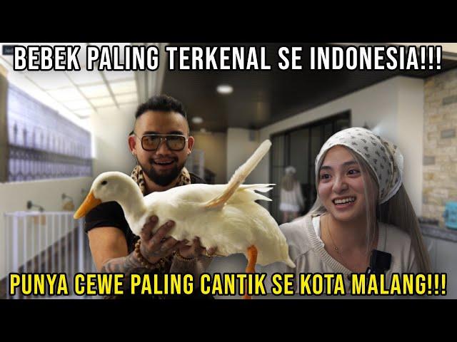 BEBEK PALING TERKENAL SE INDONESIA!! PUNYA CEWE PALING CANTIK SE KOTA MALANG!! VFELICIWA #indoexotic