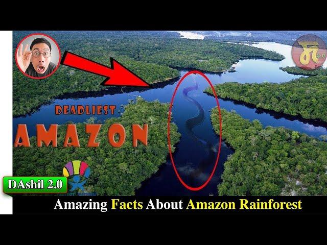 Amazon Forest ta Leiba Green Anaconda || DAshil 2.0 || Credit-ZemTV