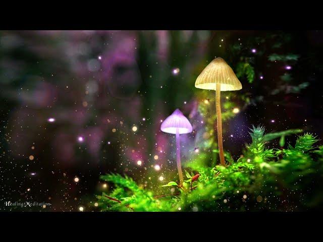 A MAGICAL MELODY 》 Spiritual Detox + Cleansing Toxins Miracle Tone 》 528Hz + 555Hz