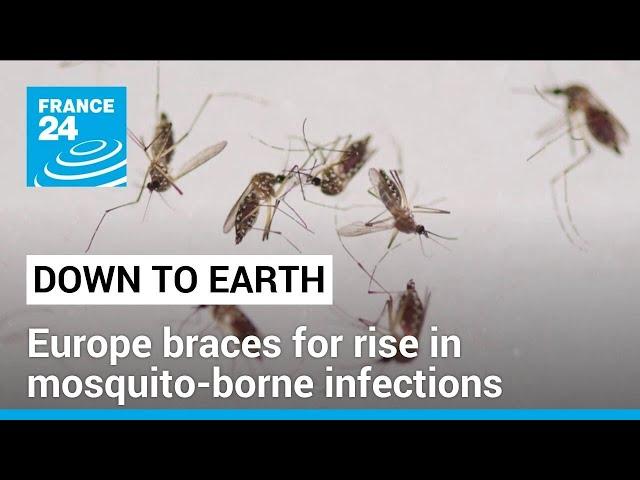 As climate warms, Europe braces for rise in mosquito-borne infections • FRANCE 24 English