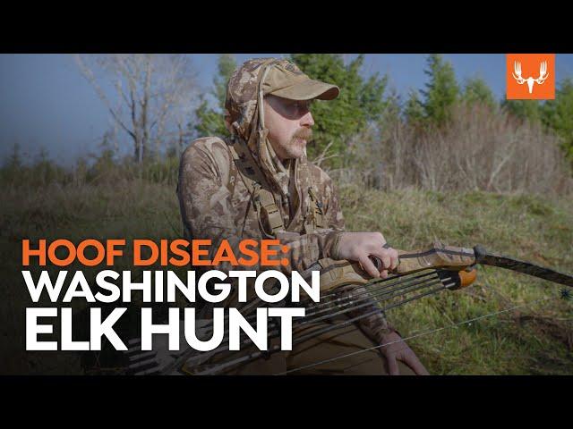 Hoof Disease: A Washington Elk Hunt | Cal In The Field