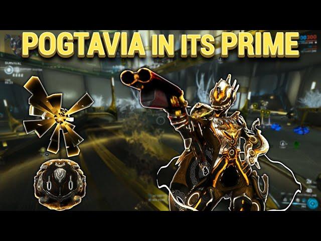 Octavia Prime Guide│AFK = PROFIT?!│Warframe 2023