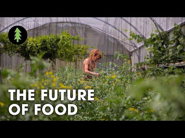 Organic Regenerative Farming is the Future of Agriculture | The Future of Food