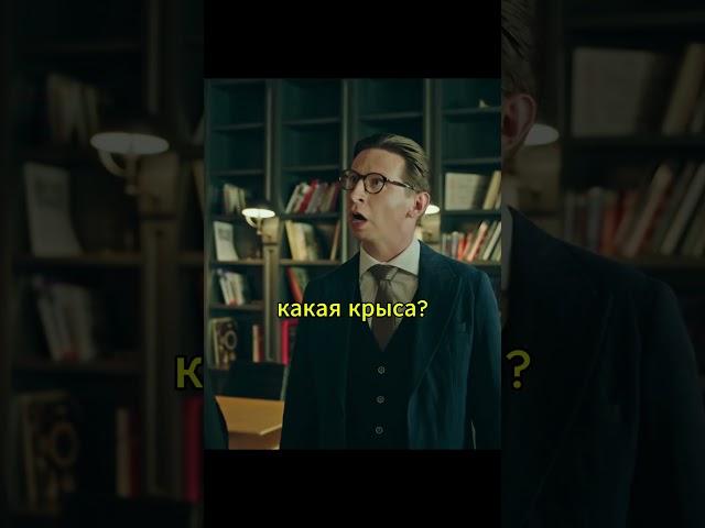 Димон не знал что о его поступке все знают #телохранители #бумер #димон #туча