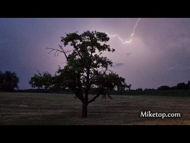 Miketop - Mein Baum - 21.06.2022