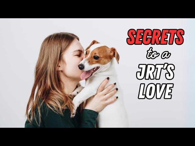 What Makes a Jack Russell FALL IN LOVE with You