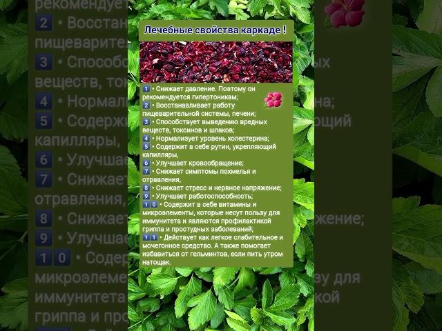 Лечебные свойства каркаде #советы#рецепты#полезнознать#народнаямедицина#шортс#безлекарств