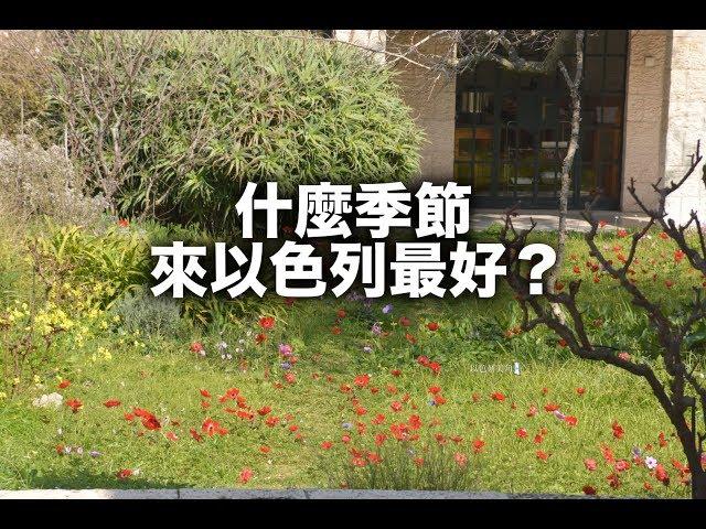 來以色列最好的季節？【以色列自助Q&A】