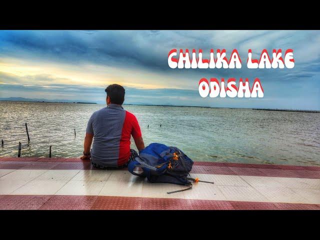 Chilika Lake: A Hidden Paradise of Biodiversity and Birds