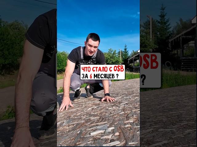 OSB плита спустя полгода #строительство #diy #дом #дача #советы #дерево #стройка #woodworking #опыт